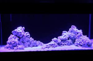 FTS April 30, 2013 - Added more rock to balance the visual look of the aquascape.