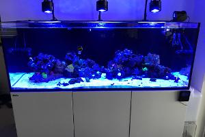 Reef Aquarium 2.0 Thumbnail