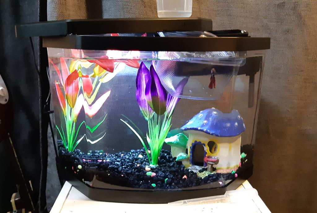 class aquarium on Sep 9, 2018