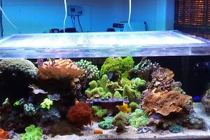 125 gal Thumbnail