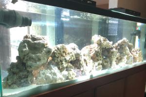 125 gallons Thumbnail