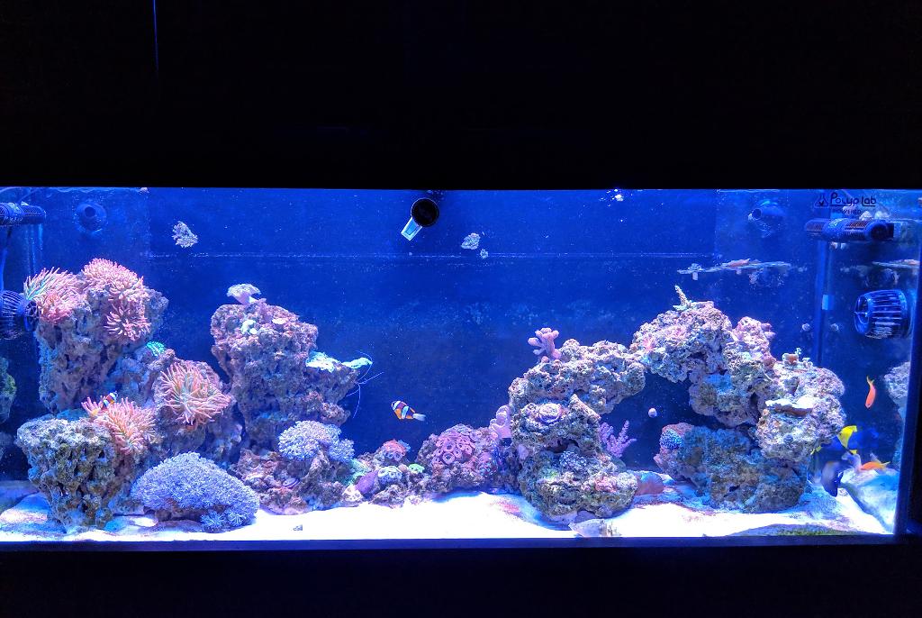 120 GALLON SYSTEM on September 17, 2018