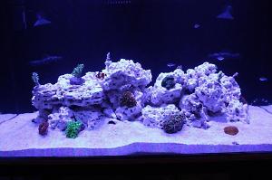 120 Reef Thumbnail