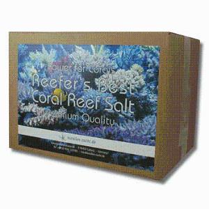 Korallen Zucht Reefers Best Pro Salt