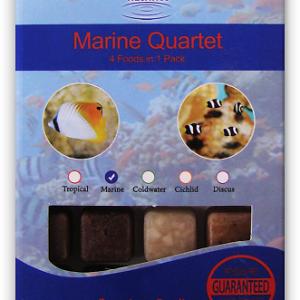 BCUK Aquatics Marine Quartet