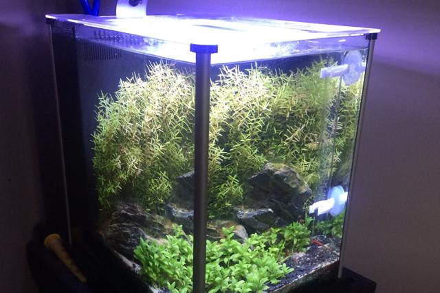 Nano 3g Planted Tank Thumbnail