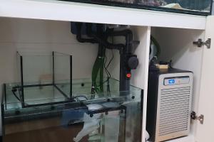 Reefer 350 chiller turn on on July 10 2018