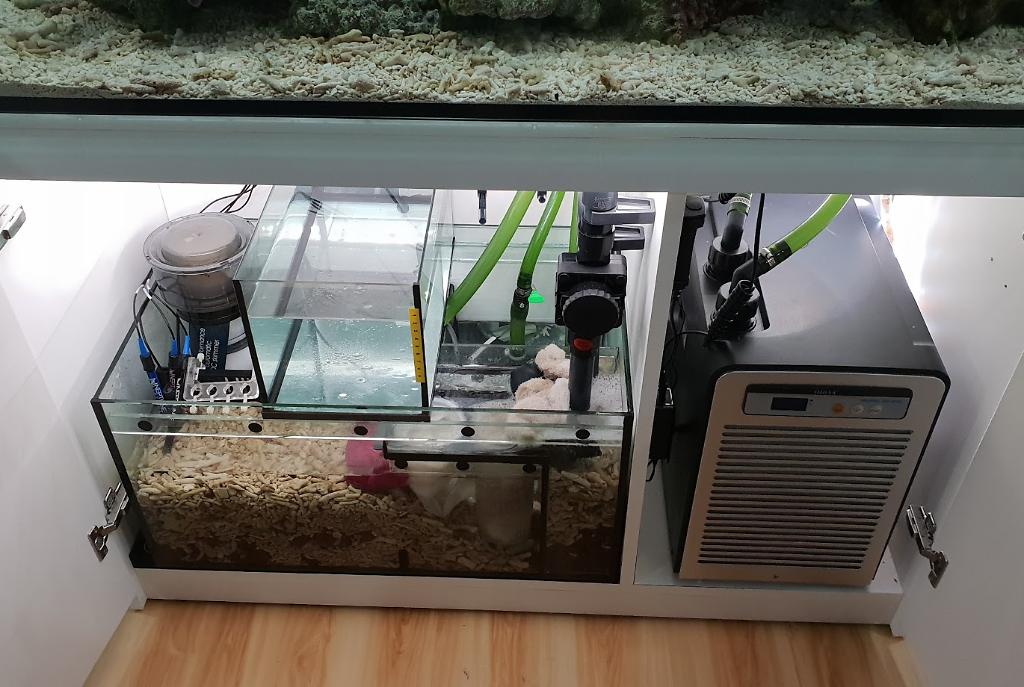 Reefer 350 Installed automatic LED for sump on July 30 2018