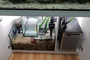 Reefer 350 Installed automatic LED for sump on July 30 2018