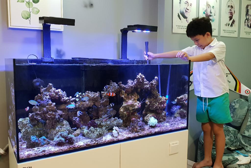 Elder son cleaning Reefer 350 on December 22, 2018