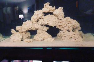 Reef Tank Thumbnail