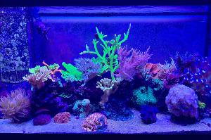 90gal Basement Thumbnail