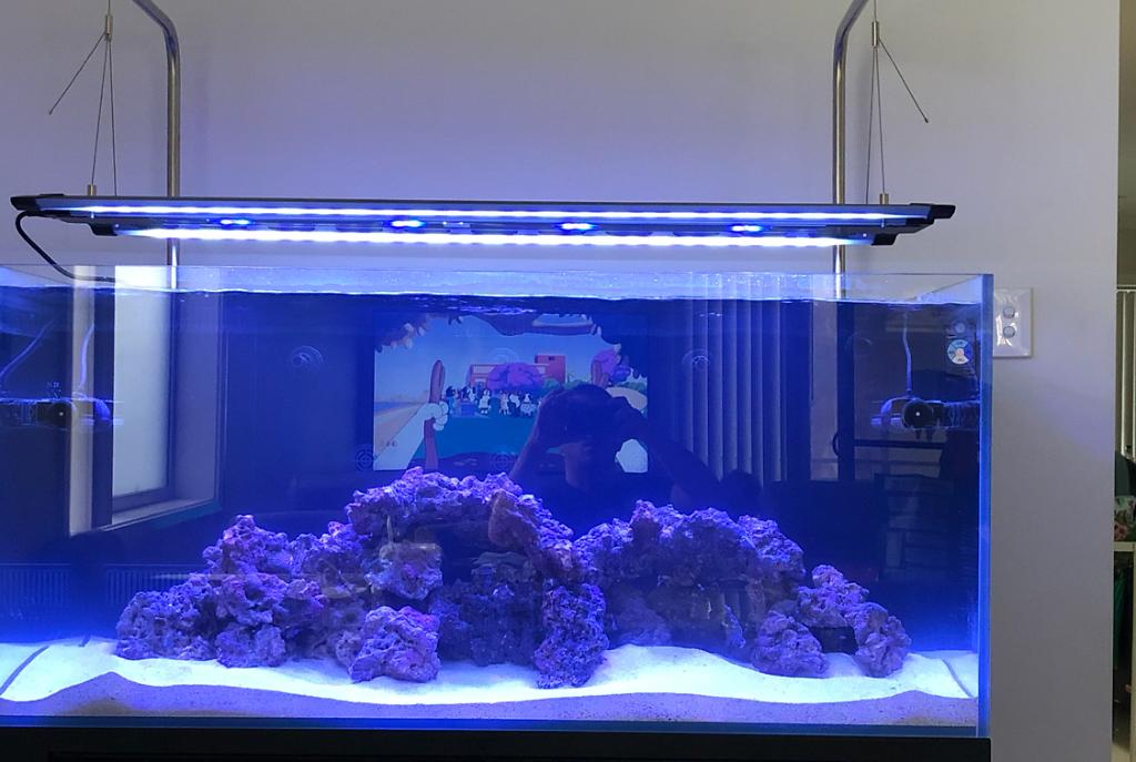 My Aquarium on Feb 25, 2019