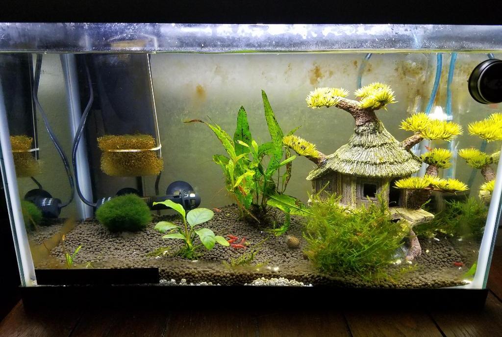 Freshwater Tank on Mar 25, 2019