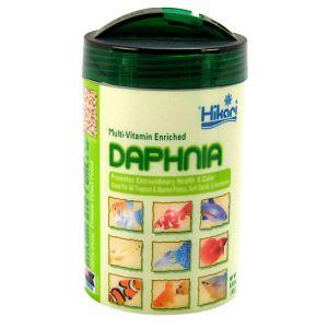 Hikari Freeze Dried Daphnia