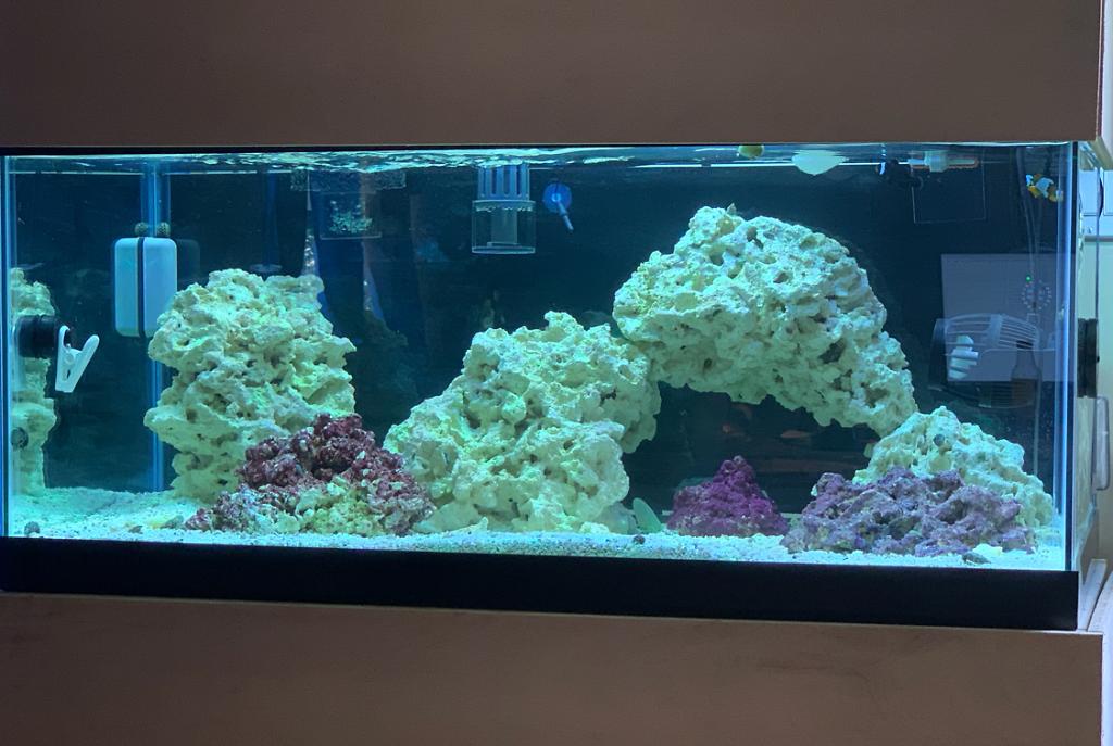 Trevors Reef on Jun 13, 2019