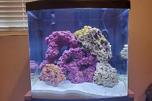 Coralife Biocube Aquarium 
 Thumbnail