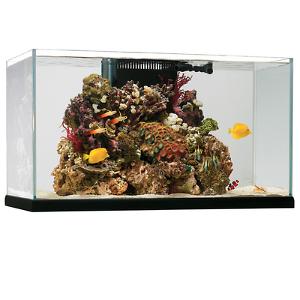 Oceanic Aquarium