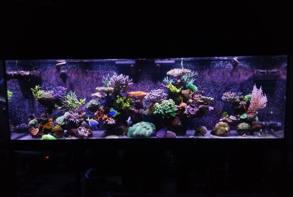 300 Gallon on September 12, 2019