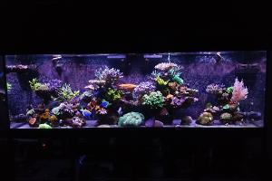 300 Gallon Thumbnail