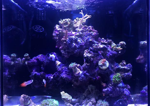 10 gallon  on Nov 5, 2019