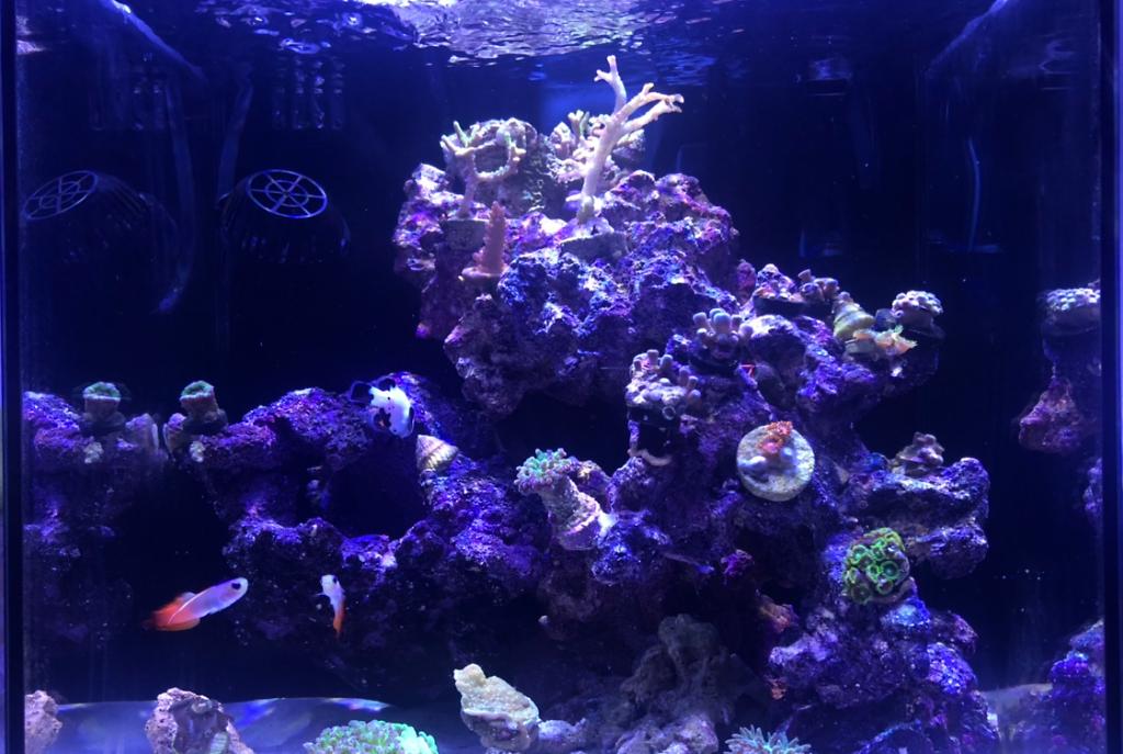 10 gallon  on Nov 5, 2019