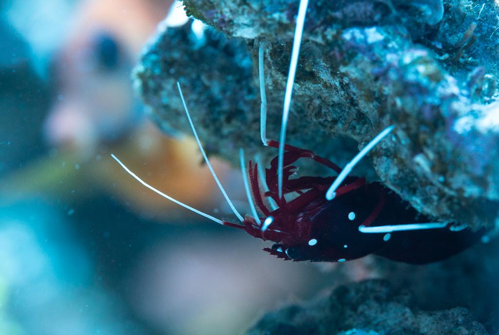 Treasure Reef on November 17, 2019