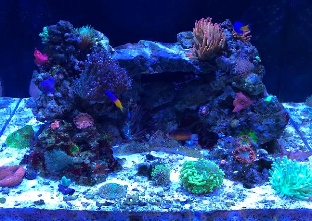 Edgar's Reef on November 18, 2019