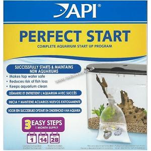 API Perfect Start