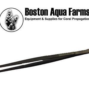 Boston Surgical Stainless Steel Tweezers