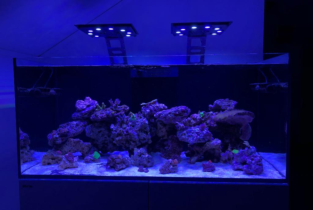 My Aquarium on November 27, 2019