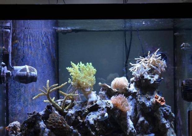 FTS July 1, 2013 4 months since first tank shot