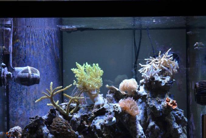 FTS July 1, 2013 4 months since first tank shot