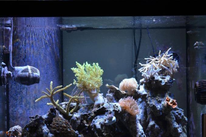 93 gallon cube Thumbnail