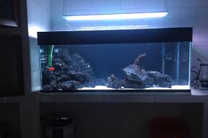 47gal Thumbnail