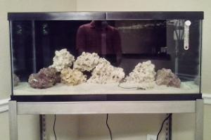 The 40 Gallon Thumbnail