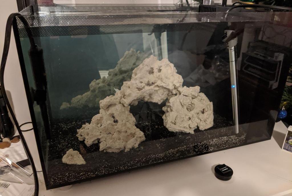 Fluval Evo 13.5-Taylor on Dec 29, 2019