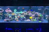 300 Reef on Jan 6, 2020