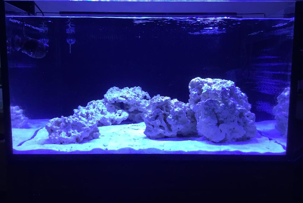 50 Lagoon - Day 1