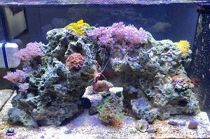 Fluval 13.5 Thumbnail