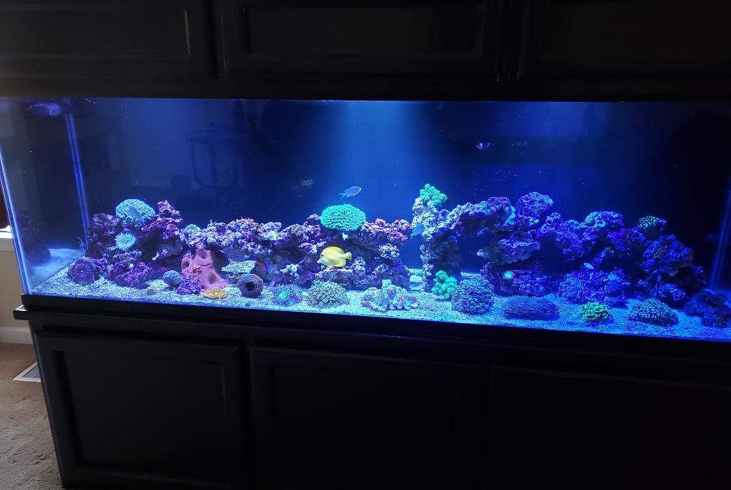 125 Gallon on February 8, 2020