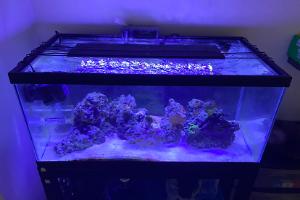 Aqueon 40 Gallon Breeder Thumbnail