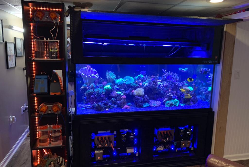 300 Reef on Feb 19, 2020