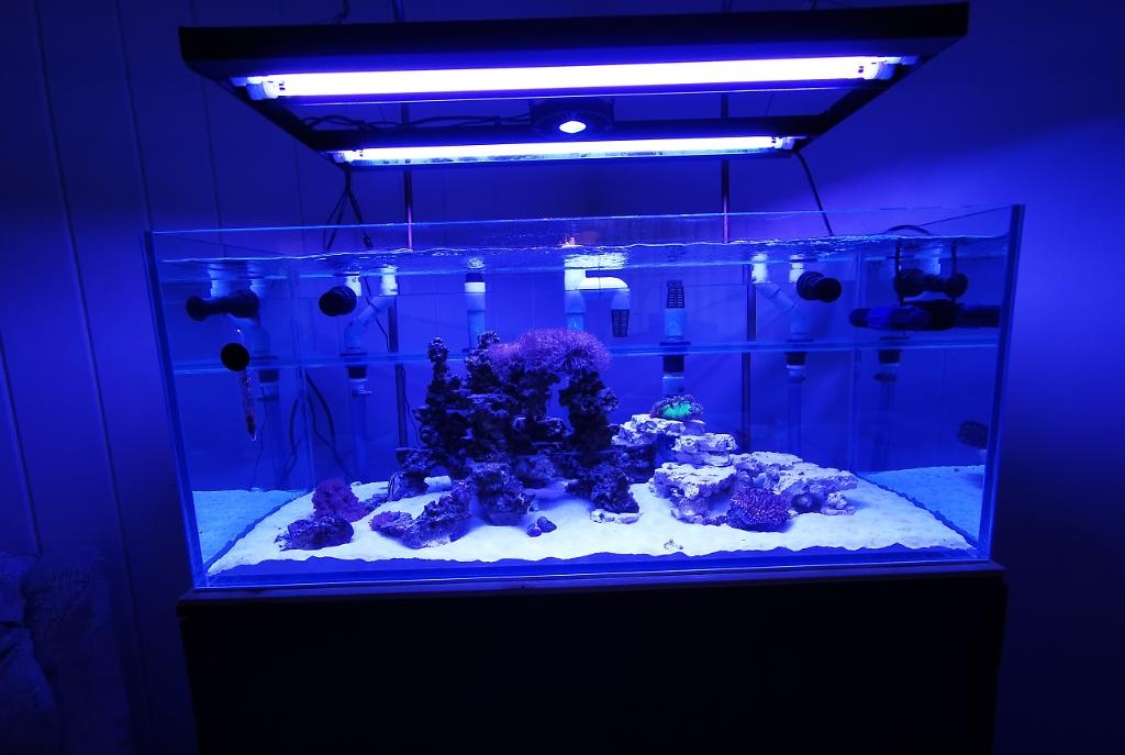 Full front view of aquarium.