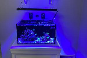 IM Nuvo 20 Sps Tank Thumbnail