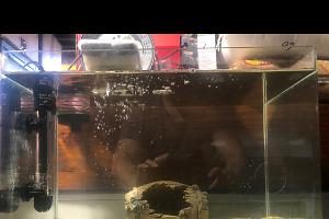 Garage tank Thumbnail