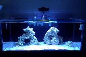 FTS July 20, 2013