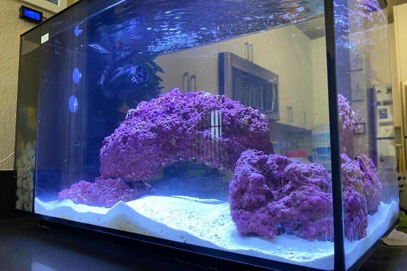 Fluval 13.5 Thumbnail