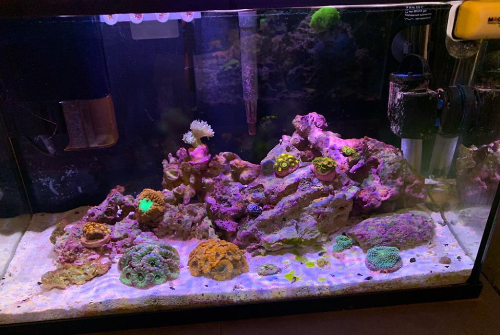 10G LPS/Zoa on May 22, 2020