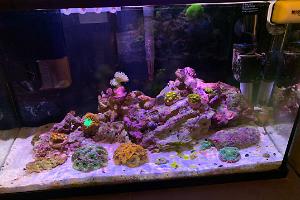 10G LPS/Zoa on May 22, 2020